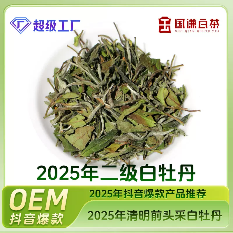 福鼎白茶一斤装收藏装2025明前白牡丹直播电商爆款批发