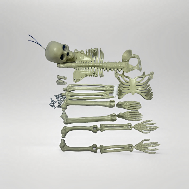 Halloween nuevo esqueleto esqueleto 40cm decoración esqueleto fiesta fiesta decoración de la escena del festival props