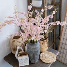 �����m�����m�S�ҷ��滨��غ����m��c�b����l�ٻ�INS�L�羳