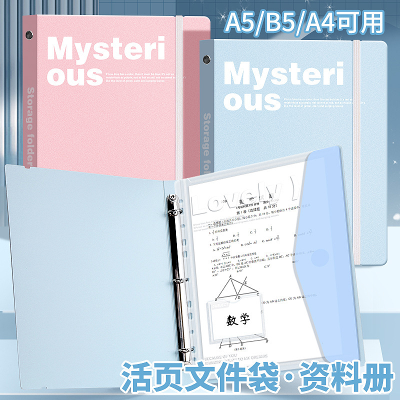 A4活页文件夹多孔资料册学生试卷收纳文件袋简约办公活页夹收纳册|undefined