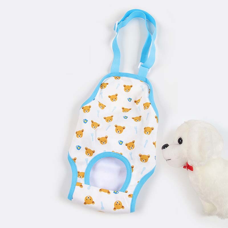 푸른 곰