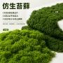 景观仿真人造盆栽草皮
