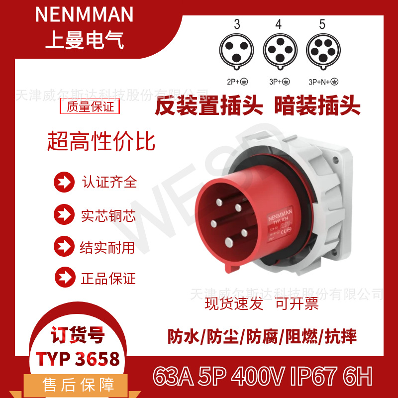 特价 TYP:3658 工业防水暗装插头 反装置固定插头63A5芯IP67 专票