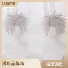 鬼滅の刃 コスプレウィッグ 不死川実弥 銀白色 キャラクタースタイル