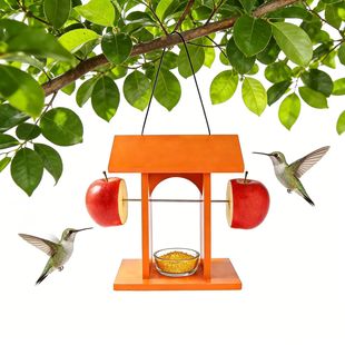 �羳�F؛����ι�B��ľ�|С�ͷ��Bˮ��ιʳ��ͥԺ���@�Ғ�ʽιˮ��