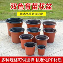 厂家直销双色塑料花盆PP双色花盆育苗盆营养钵绿植园艺多肉盆