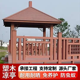 户外塑木防腐凉亭四角亭六角亭定制现代庭院别墅葡萄架廊架厂家