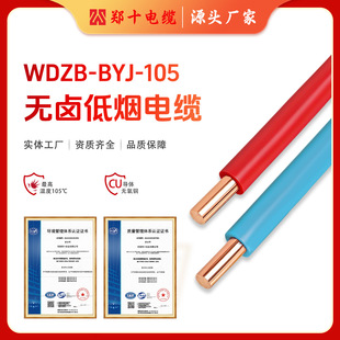 WDZB-BYJ�͟��o�u��ȼ늾���|����2.5/4/6ƽ�����b���B늾�