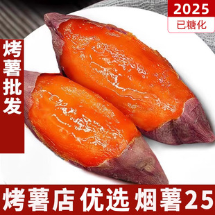 ����25̖�������ļt��ɳ�����͵عϿ��t������������������