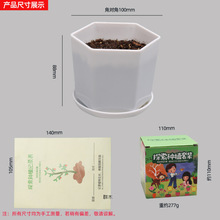 ��ͯ̽���Nֲ��߾Gֲ���L�^��С�����׃��@���ܷN�����b���l