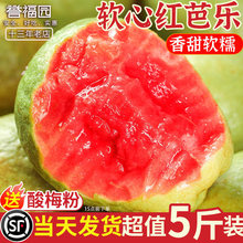 �V��ܛŴ�t�İŘ�5�����rˮ����ʯ�����ܛŴ��֬�t�͘�������]3