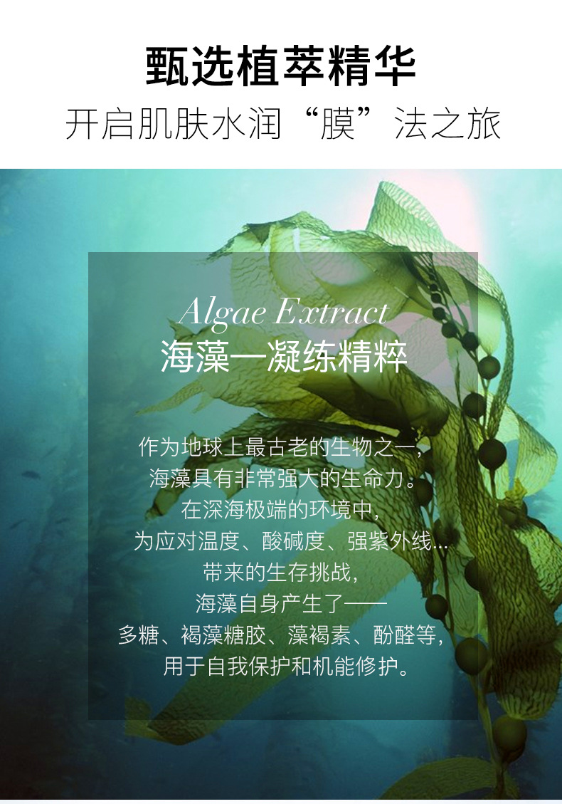 正彩-海藻胶原蛋白面膜_06.jpg