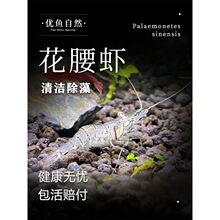 �����r�^�p�r��̖�ښ��r�~���坍���z�儂ë�����횈�����幤���r