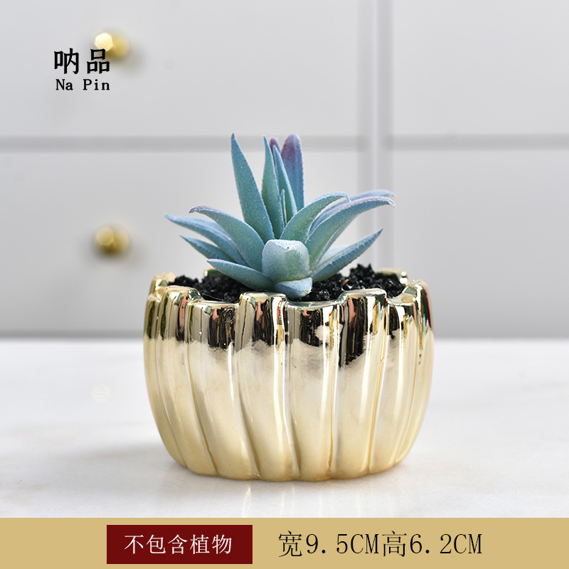Maceta suculenta de cerámica con baño dorado, estilo fruta