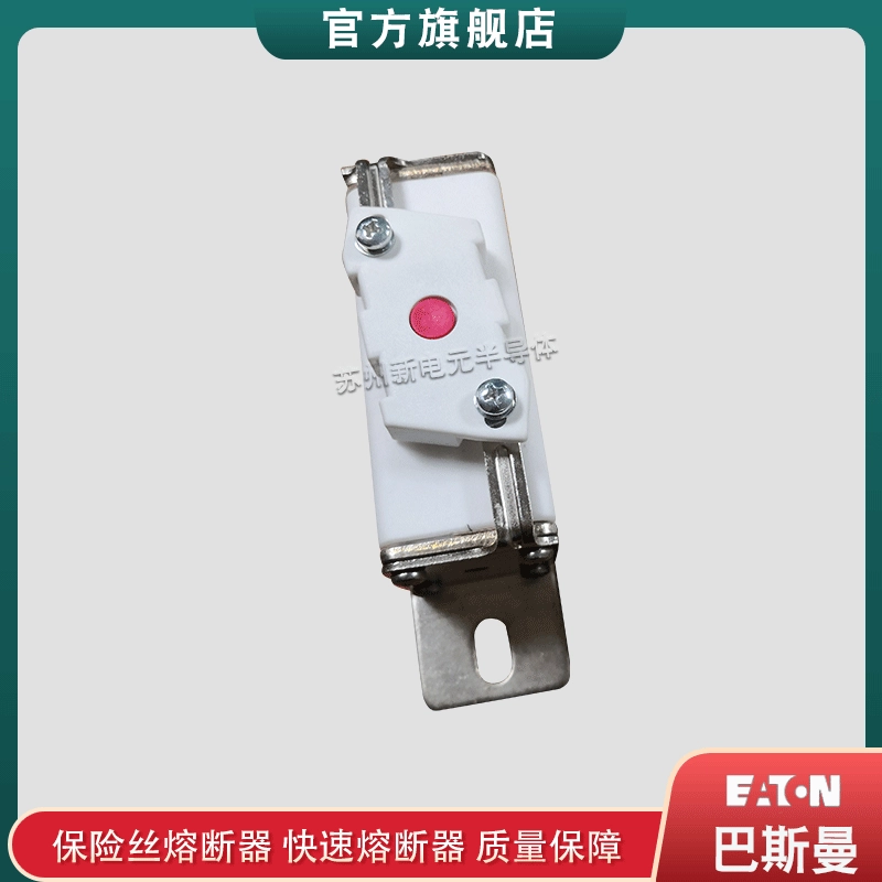 [170M2045 2046 2047 2048 2049 2050 原装美国bussmann快速熔断器]