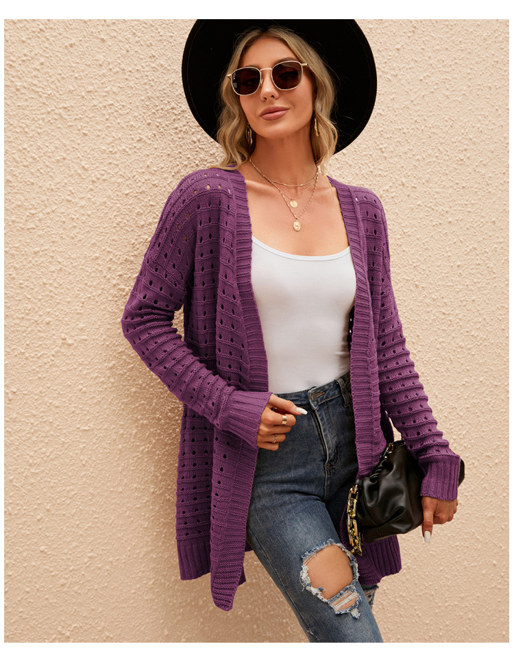 Women's Sweater Long Sleeve Sweaters & Cardigans Hollow Out Fashion Solid Color display picture 4