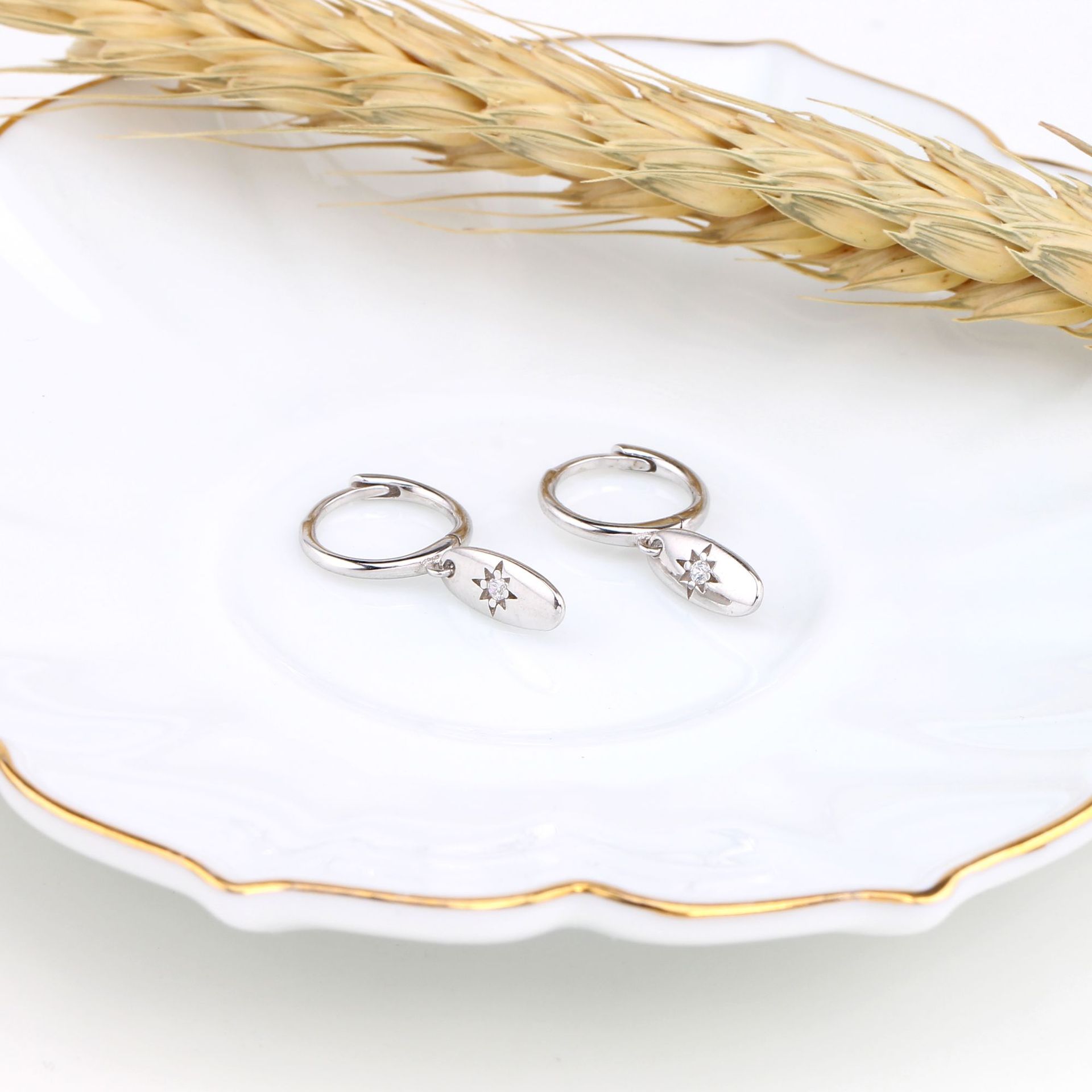 925 Sterling Silver Material 1 Pair 925 Sterling Silver Zircon Star Drop Earrings