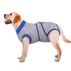 国境を越えた工場犬と猫の滅菌服創傷保護包帯回復スーツ安らかに抗不安防護服犬