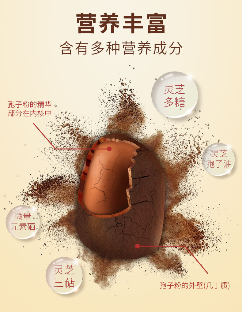 Organic Changbai Mountain Reishi Mushroom Spore Powder Gift Box 250g Lingzhi Spore Powder for Wellness overview