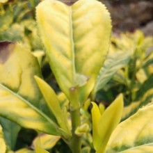 ԽS ԽS~ S㽭  ȫ繩