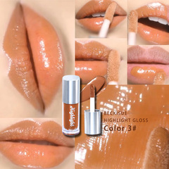 Beckisue New Arrival Highlight Lip Gloss in Nude Shade—Creamy Texture, Rich Color, Dewy Sheen, Mirror Finish, and Plumping Effect