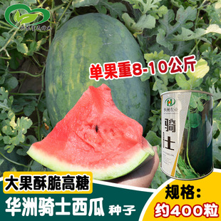 �A���Tʿ���ϷN�� ���ī�G�����t�����A�� ���ز������L������