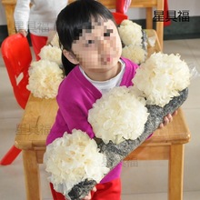 �NĢ����ƽ����Ģ���������������ʳ�þ���ͥĢ���Nֲ����������