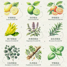 �����M�چη������o�wֲ��õ�徫����DIYԭ���ֹ����������޲��