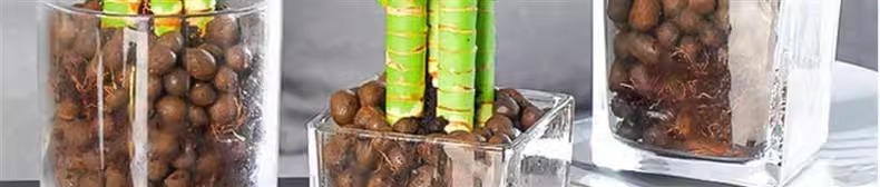 91762902-72cf-40f3-9530-ef066649dc20.jpe