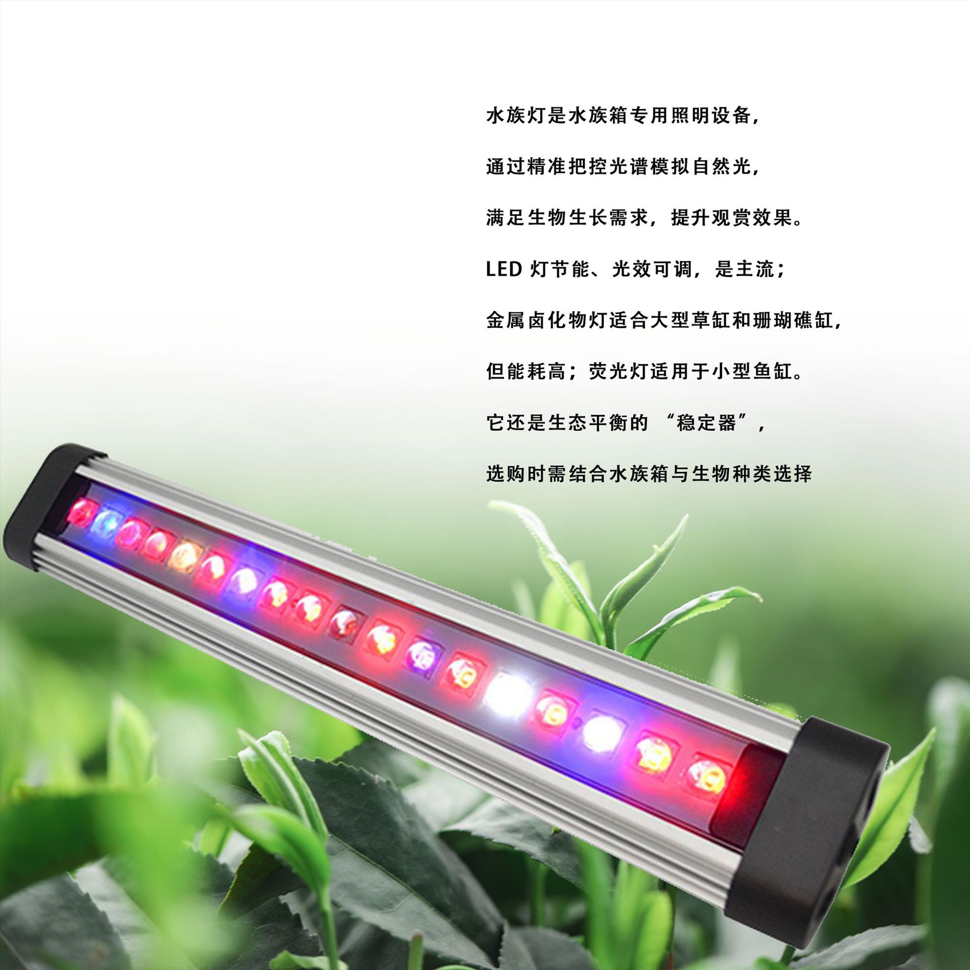 LEDȫˮģչͲˮݵϪ쾰