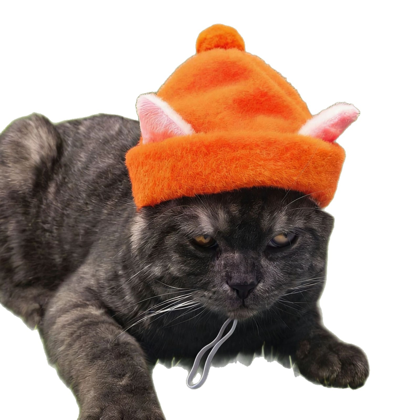 Novos produtos mais vendidos: Gorro fofo e divertido com imitação de pele de coelho, acessório universal para cabeça de cães e gatos, Pet Magic House_voghion.com
