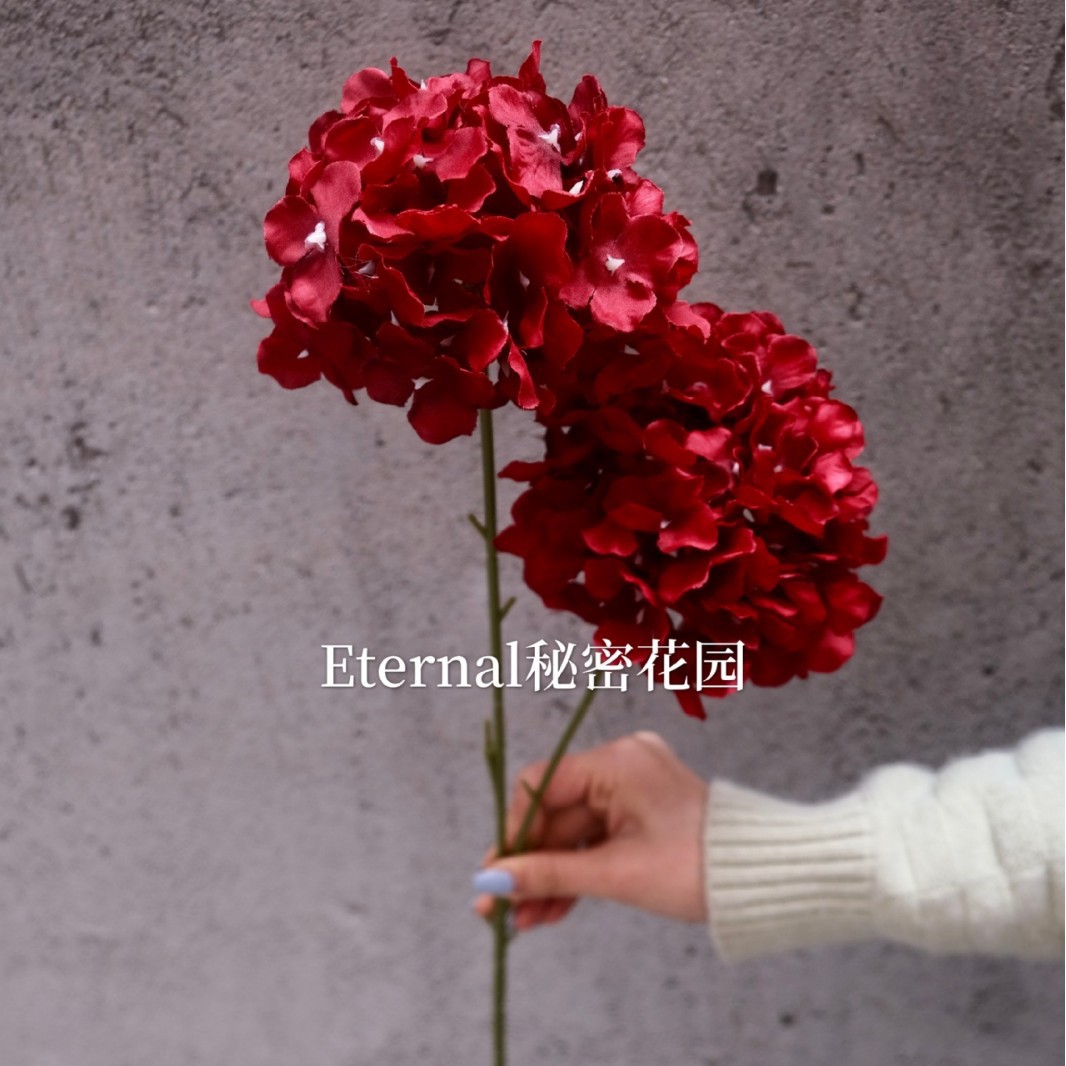 양면 수국 진한 빨간색