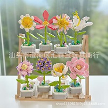 �羳���Ի��������m��ֲ��[��MOC�eľ�OӋ��YƷ��ͯ�������