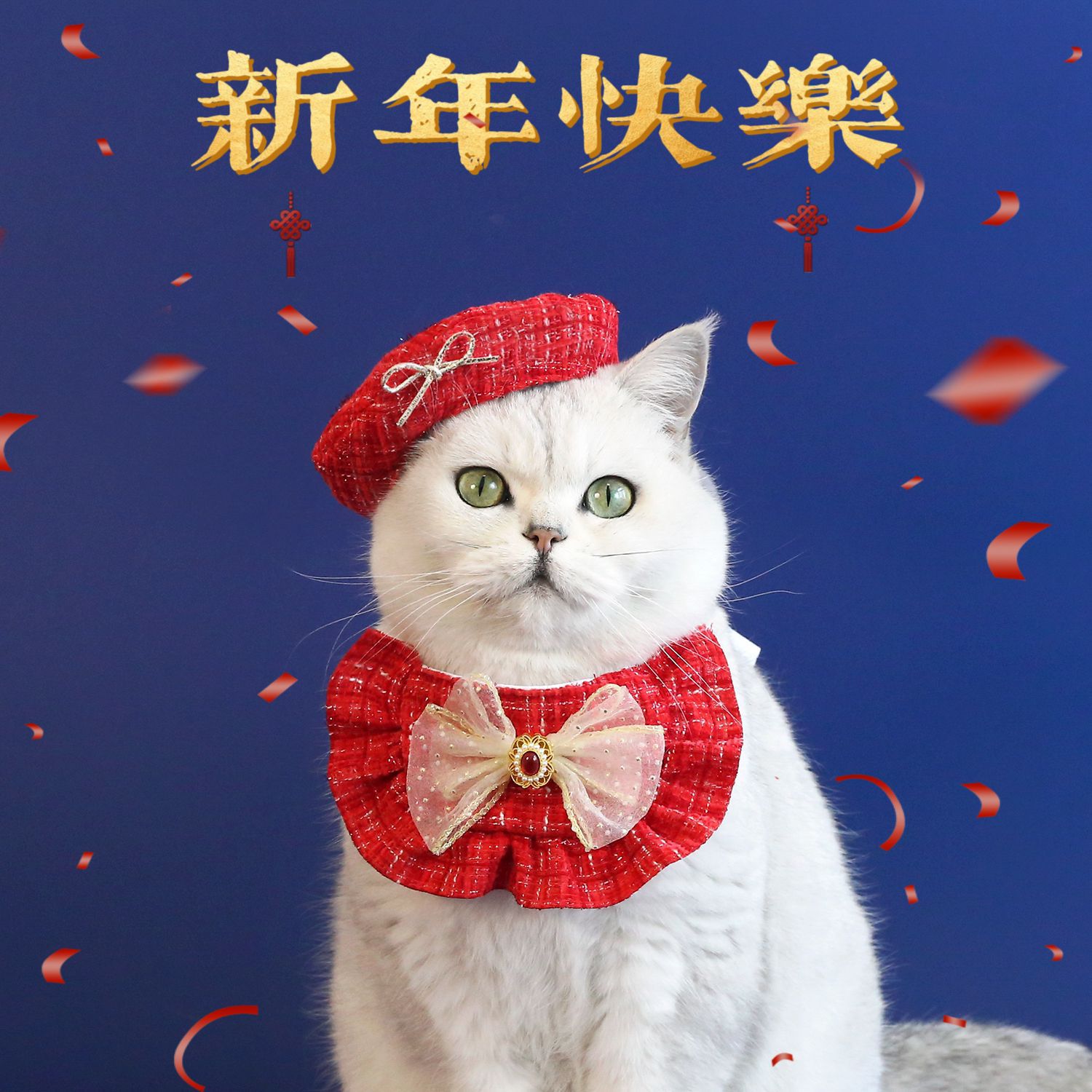 Mascotas de Año Nuevo Celebrativo de encaje Sombrero de borda de oro gemas arco Teddy perros gatos set rojo image 1