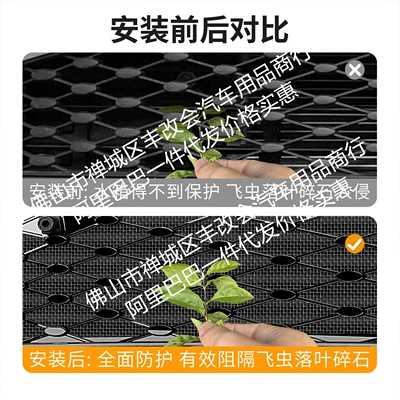 Special Modification Decorative Strip, Automobile anti-insect net