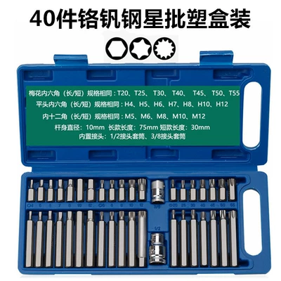 40-Piece Set of Star Bits, 54-Piece and 60-Piece Hexagonal and Twelve-Point Spline Bit Automotive Repair Tool Set (Mühərrik tənzimləmə alətləri) - 40-pieces-of-chromium-vanadium-steel-star-batch-in-plastic-box