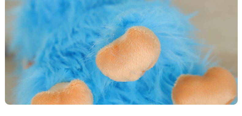 苏格兰高地牛_11