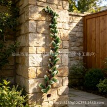 �羳���R�d1.8M�����}�Q�f�}���Ҿ��b��T���p�@��β�׾G����ٗl