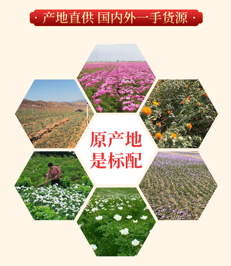 Dried Cockroach (Eupolyphaga sinensis) — Traditional Chinese Medicinal Insect, 500g specifications