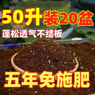 �N�˺�؛�Nֲ��������̿���������Nֲ����I�B���B���ЙC�G�}