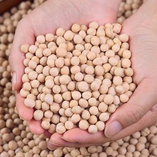 ���㶹���㶹�������㶹�Ĵ��r����؛�ɰl��ѿ���s�挣���㶹�s�Z