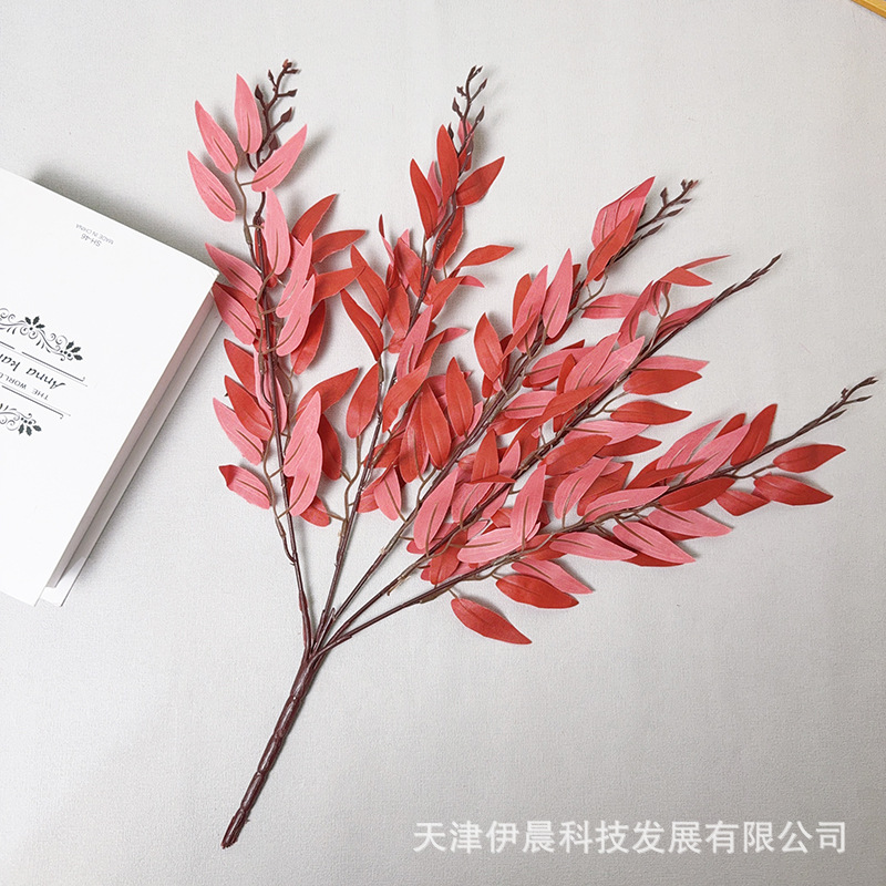 버드나무 잎 다발 - 빨간색