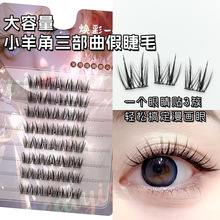 С����������ٽ�ëʮ����Ф����ϵ������Ȼ�ֶ��Լ޽�����۽�ë