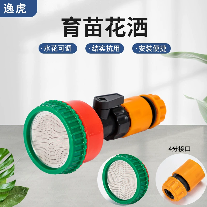 Рассада и разбрызгивание воды