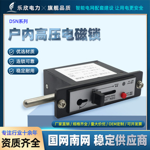 Indoor high voltage electromagnetic lock DSN-JZ high voltage switch cabinet door lock distribution box transformer AC/DC general use