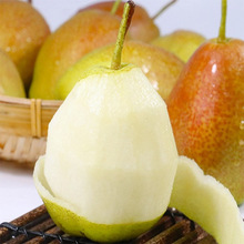 ����ɽ���t�������������rˮ��������������]�Fժ�F�l����