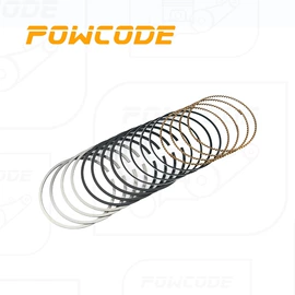 其他发动系统;气缸及部件;油封