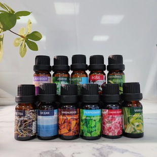 Cross-Border 10ml Water-Soluble Plant Aromatherapy Essential Oil Humidifier Essential Oil Diffuser Stone Diffuser Wood Essential Oil Wholesale Delivery