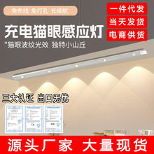 ledwБ؈ɽ𲨼ylʽƙ