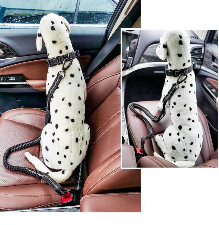 Dog Leash Image 5